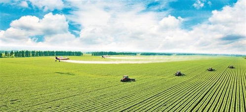 農村致富難？產業鏈升級迎來新機遇，了解這些領域讓你換道超車