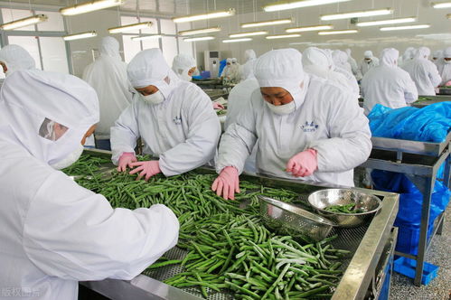 疫情過后，小型農產品物流企業的春天來了